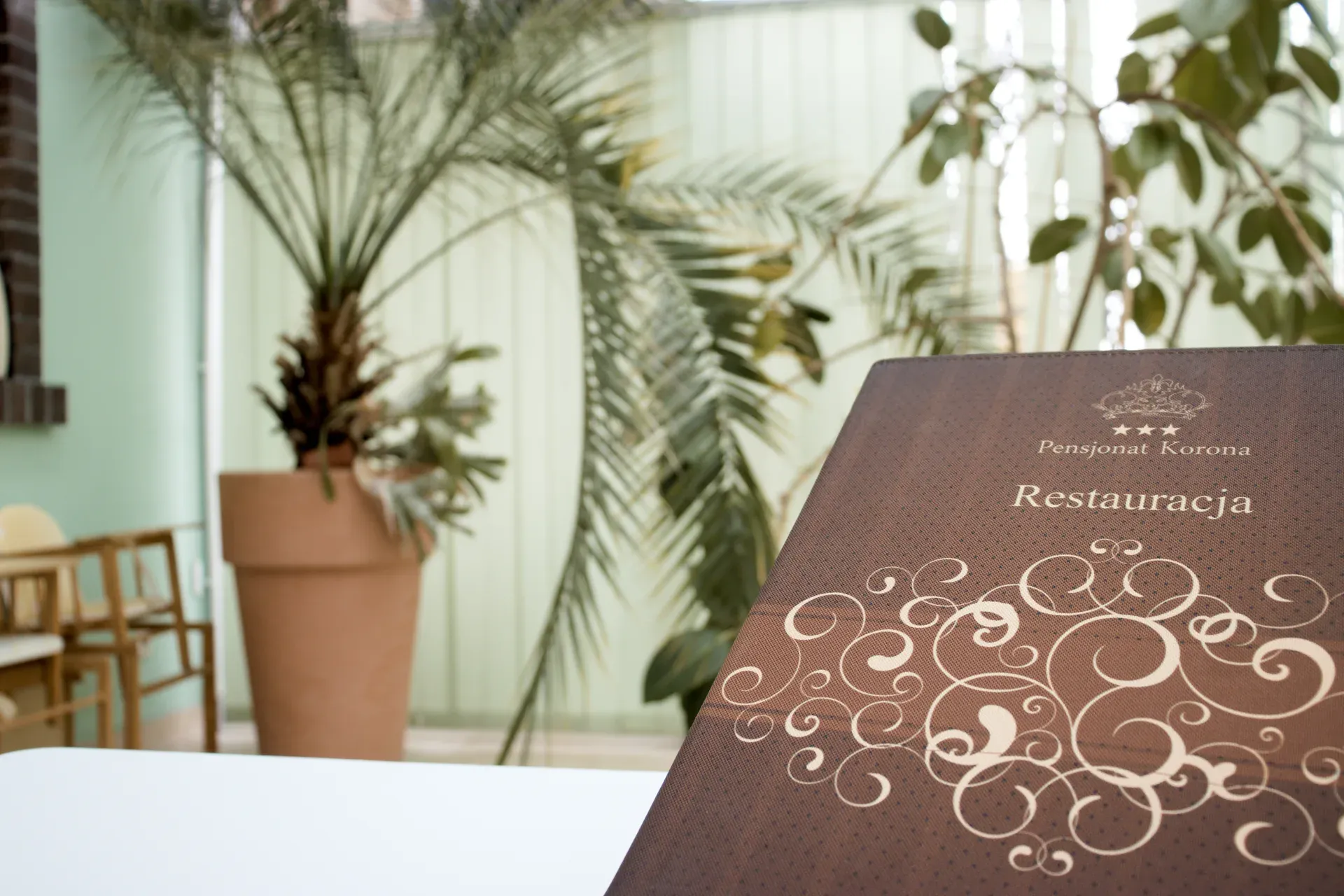 Menu restauracji Pensjonatu Korona